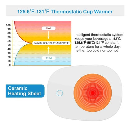 US Local Coffee Mug Warmer Cup Warmer Auto Shut Off Coffee Tea