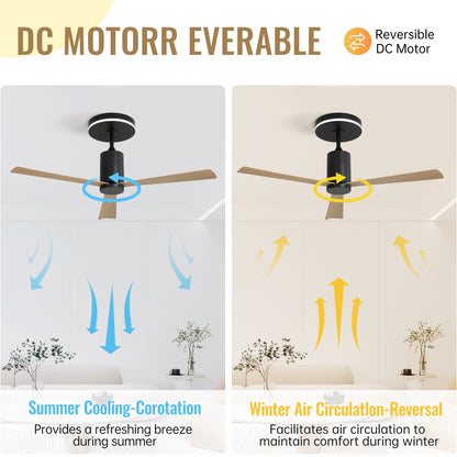 US Local Plastic Ceiling Fans