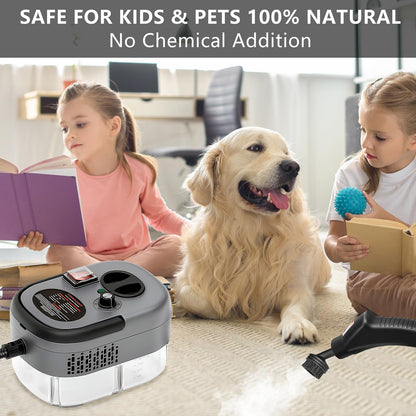 US Local Handheld Steam Cleaner, Steamer For Cleaning, 2500W Pressurized Steam Cleaner With 1.2L Water Tank And 12 Attachments, Portable Steamer Cleaner For Home Car Kitchen Bathroom Furniture Tile Grout