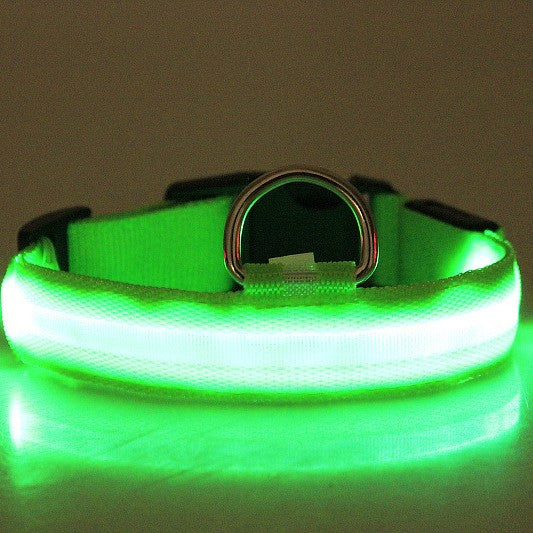 US Local LED Luminous Pet Dog Collar Night