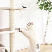 US Local Pet Cat Toy Electronic Motion Cat Toy Interactive