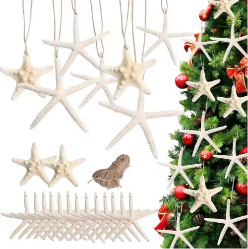 15pcs 2.3-4.3 Inch Starfish Hanging Christmas Tree Ornaments Star Fish Shells Decor For Crafts