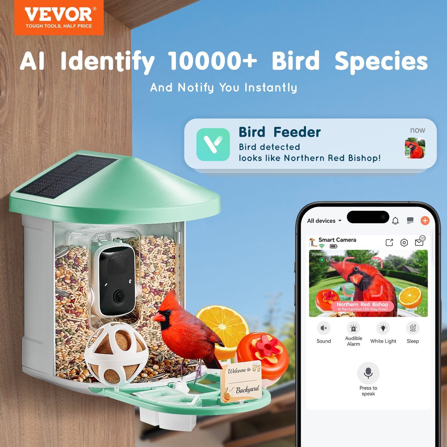 US Local Smart Bird Feeder With Camera 2K HD AI Identify Bird Species Solar-Powered