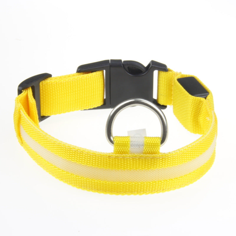 US Local LED Luminous Pet Dog Collar Night