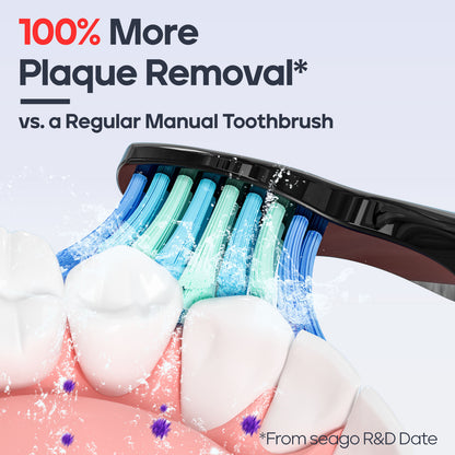 US Local SEAGO Manufacturer SG958 Teeth Whitening Oral Care 5 Cleaning Modes Rechargeable Power Electric Toothbrushes For Gifts