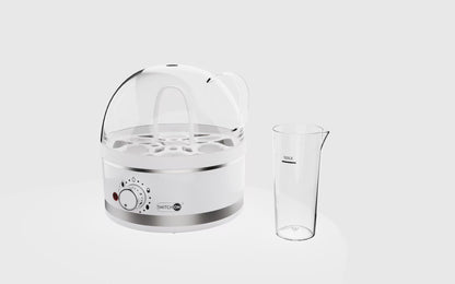 US Local Mini Multifunctional Household Plug-in Steam Boiler