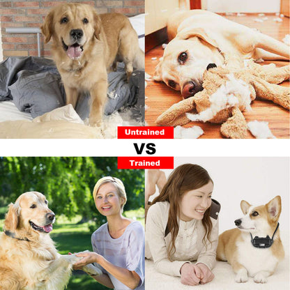 US Local 1Pc Dog Training Collar With Remote  IP67 Waterproof Pet Trainer 300mAh Rechargeable 875 Yard Remote Control 4 Modes Adjustable Level