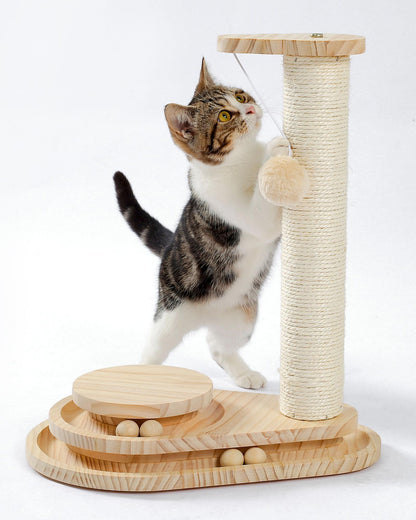 US Local Indoor Cat Soft Scratching Board And Interactive Ball Track Toy Cat Rest And Grooming Supplies