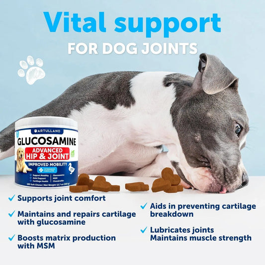 US Local Glucosamine For Dogs Hip And Joint Supplement For Dogs With Arthritis Chews With Chondroitin Hemp Oil MSM Canine Joint Pain Relief Health Mobility Support For Large Breeds 120 Soft Treats