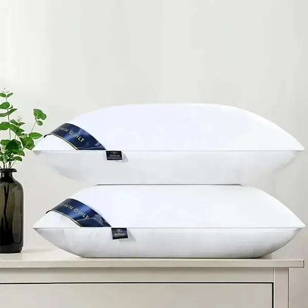 US Local Bed Pillows Blue 2pack