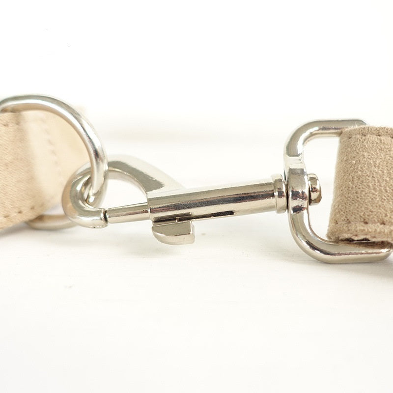 US Local Dog collar traction rope