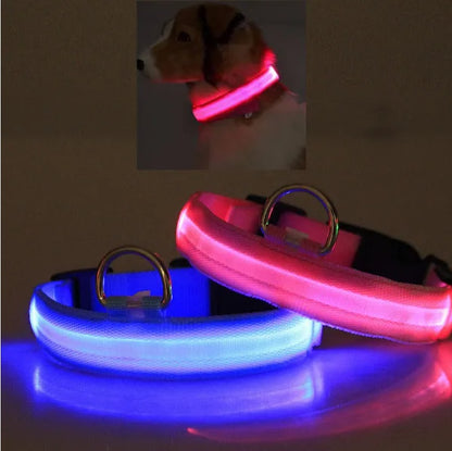 US Local LED PET Safety Halo Style Collar