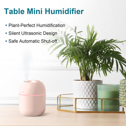 US Local Portable Mini  Humidifier, 220ml,Small Cool Mist Humidifier, USB Personal Desktop Humidifier For Bedroom Travel Office Home Random Colors