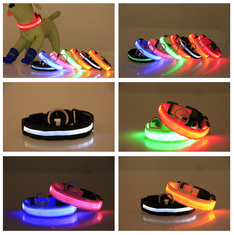 US Local LED Luminous Pet Dog Collar Night
