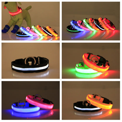 US Local LED Luminous Pet Dog Collar Night