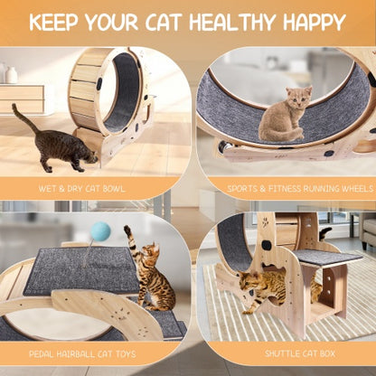 US Local Cat Wheel 6-in-1 Cat Fitness Wheel