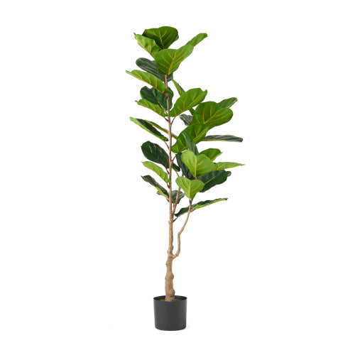 US Local 150CM ARTIFICIAL VIOLIN LEAF FIG TREE