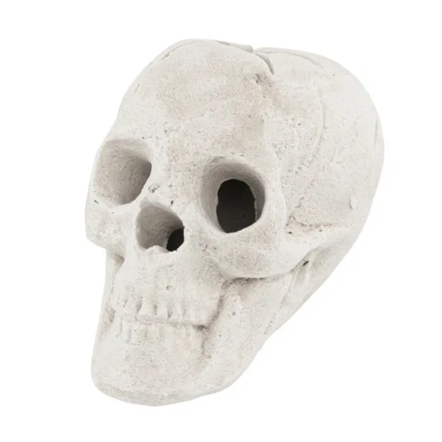 US Local Halloween Decoration Beige