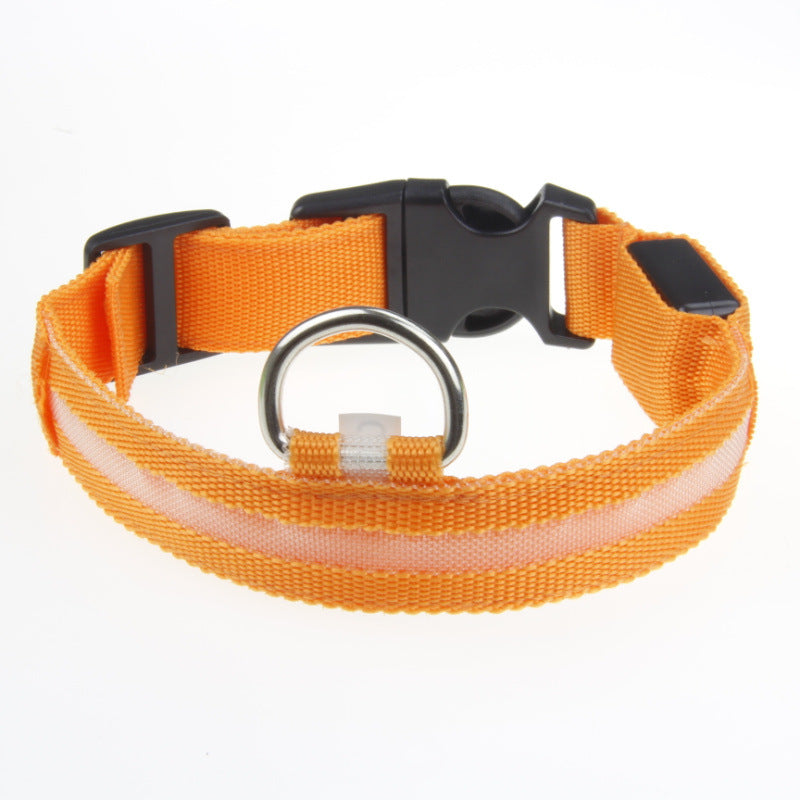 US Local LED Luminous Pet Dog Collar Night