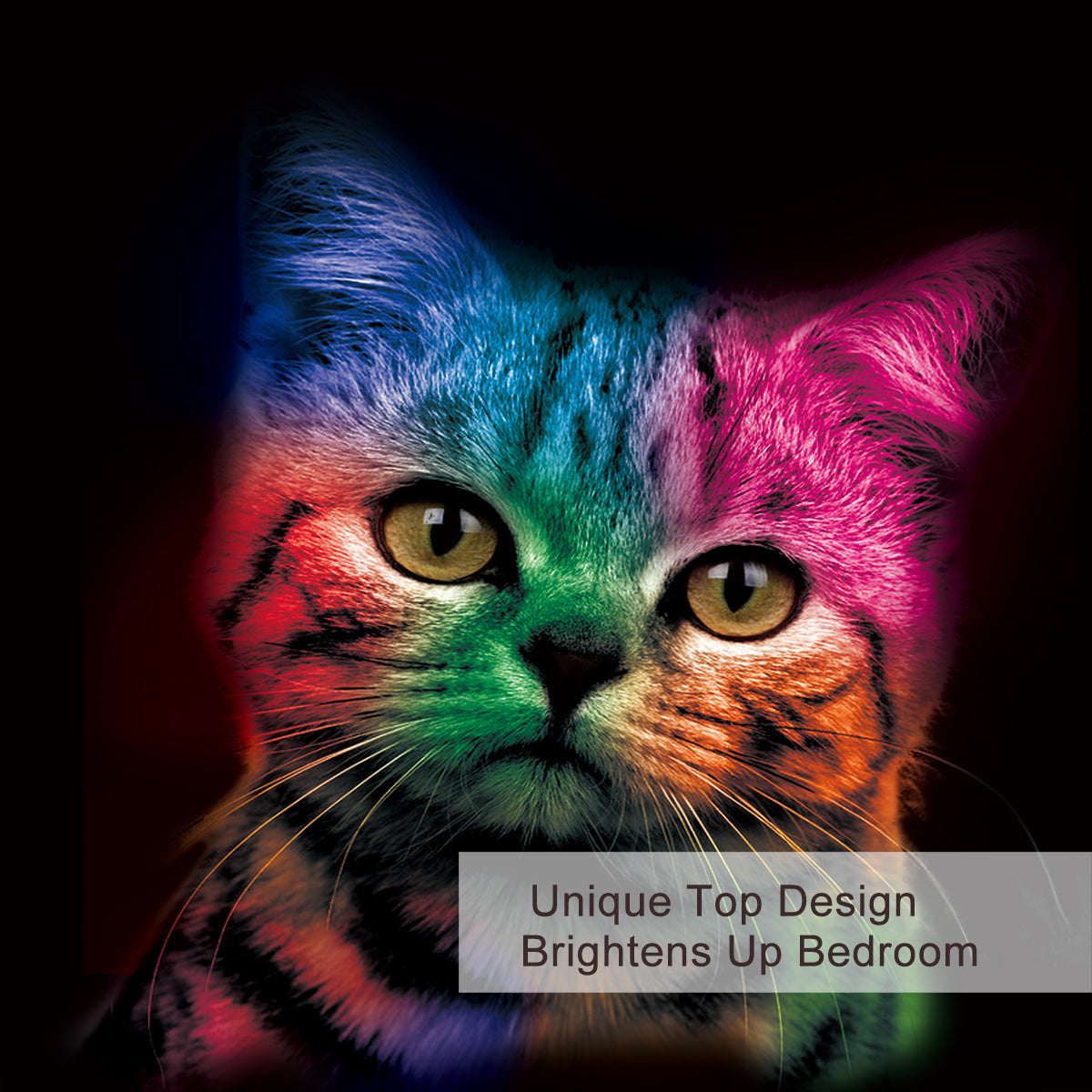 US & UK Local Cat Bedding For Kids Girls Boys Cute Colorful Cat Pattern Quilt Cover Bedspread 3 Piece Bold Color Black Animal Duvet Cover Set For Single Bed