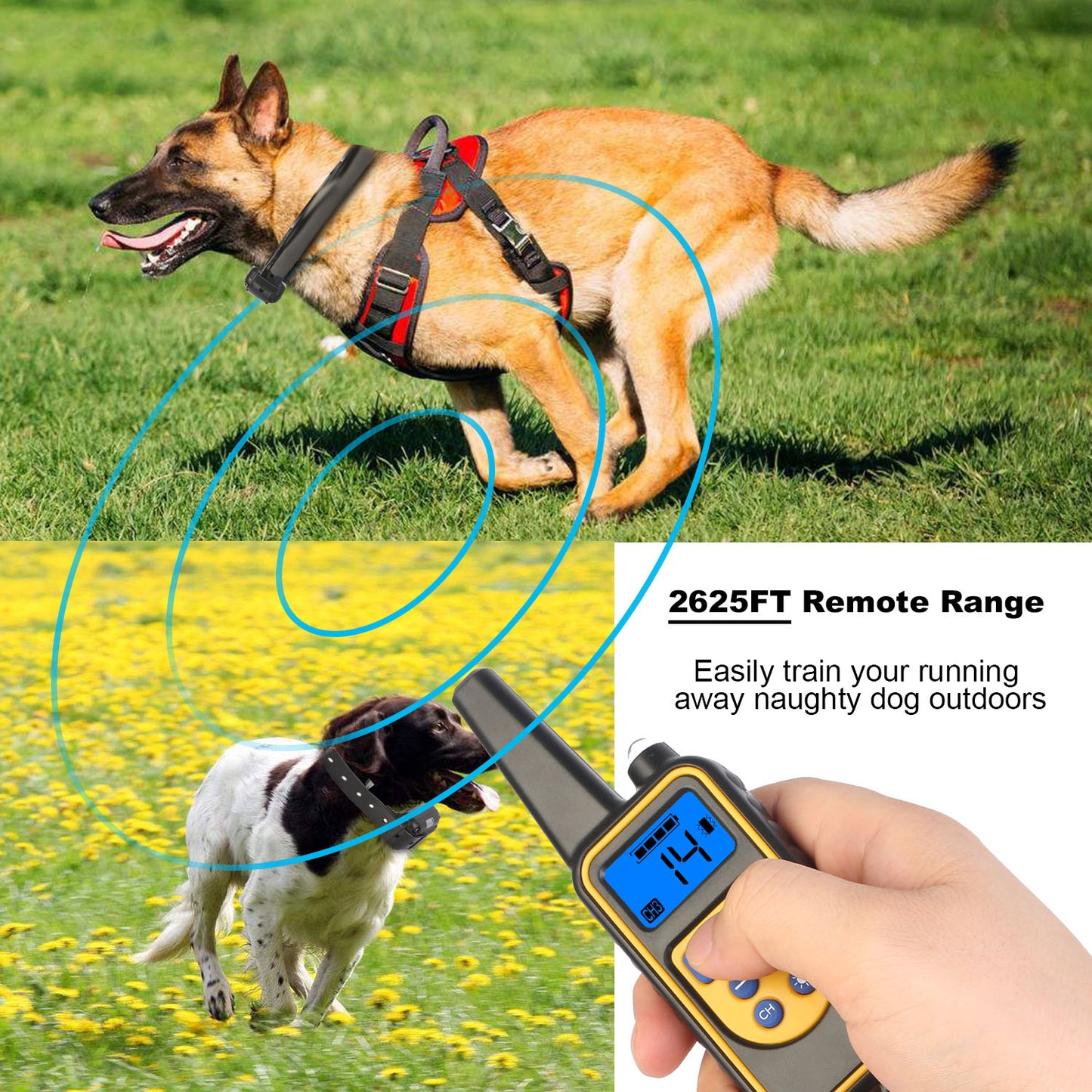 US Local 1Pc Dog Training Collar With Remote  IP67 Waterproof Pet Trainer 300mAh Rechargeable 875 Yard Remote Control 4 Modes Adjustable Level