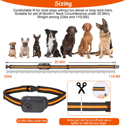 US Local 1Pc 984FT Dog Training Collar IP65 Waterproof Pet Beep Vibration Electric Shock Collar 3 Channels Rechargeable Transmitter Receiver Trainer With Recording Safety Keypad Lock