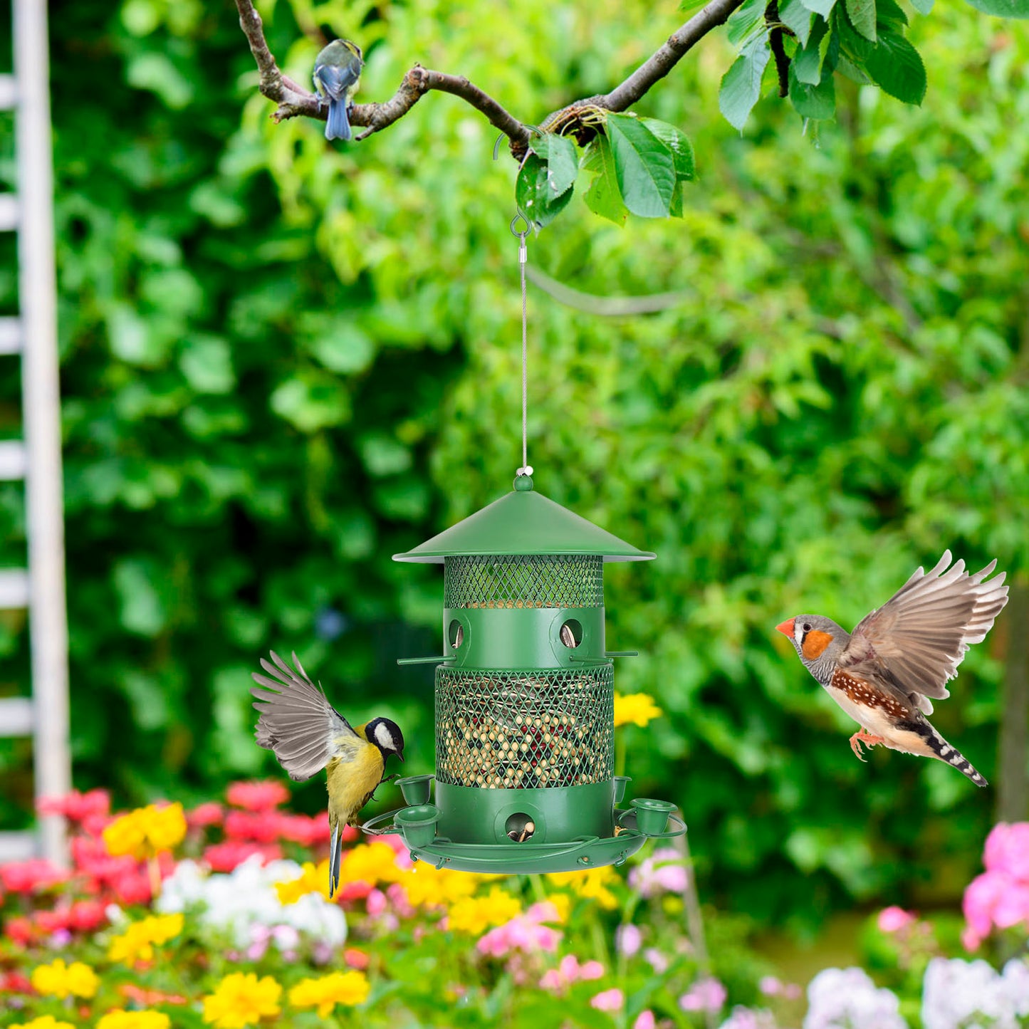 US Local 1Pc Wild Bird Feeder Squirrel-Proof Chew-Proof Metal Bird Seed Feeder Outdoor Hanging Bird Feeder With 360 Degree Circular Perches Water Cups For Yard Garden Patio