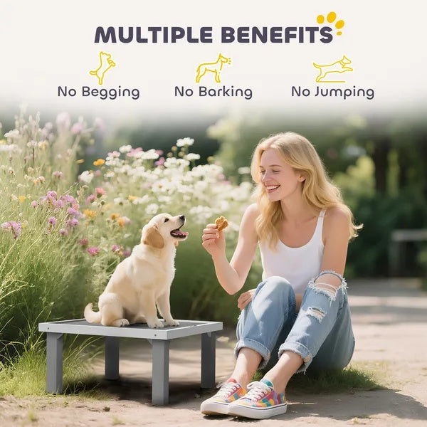 US Local Wooden Dog Training Place Board, Dog Training Platform With Ladder, Pet Agility System For Indoor Outdoor