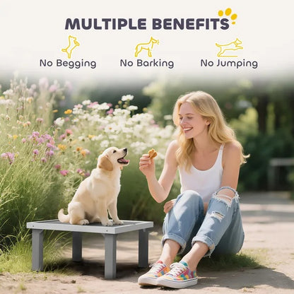 US Local Wooden Dog Training Place Board, Dog Training Platform With Ladder, Pet Agility System For Indoor Outdoor