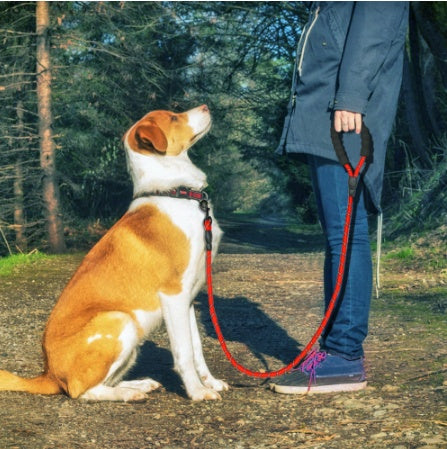US Local Reflective Dog Leash Nylon Pet Dog Leash Rope For Small Medium Large Dogs Walking Training Pet Suppiles