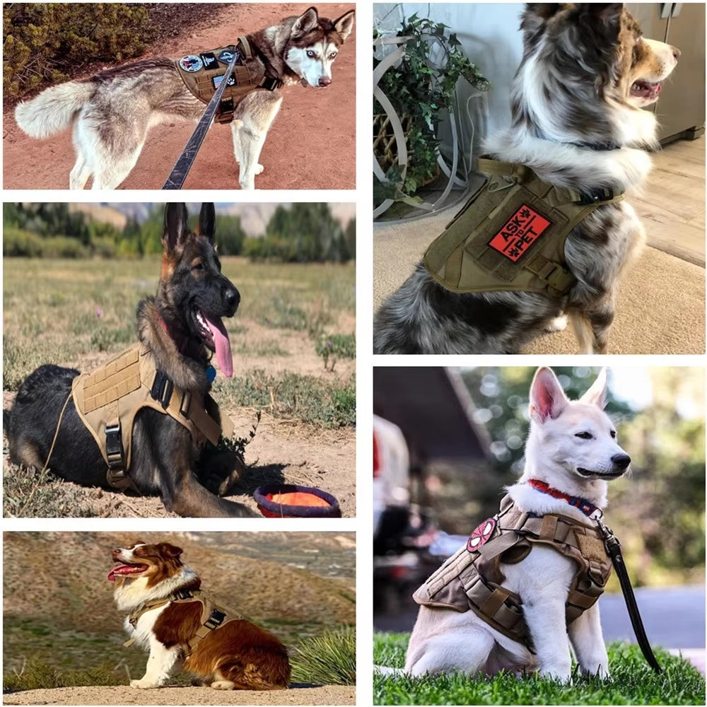 US Local Pet Harness Luxury Dog Leash Set Chest Dog Nylon Camouflage Dog Harness