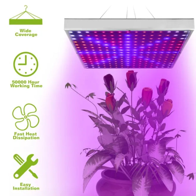 US Local Full Spectrum Indoor Plant Growth Lamp