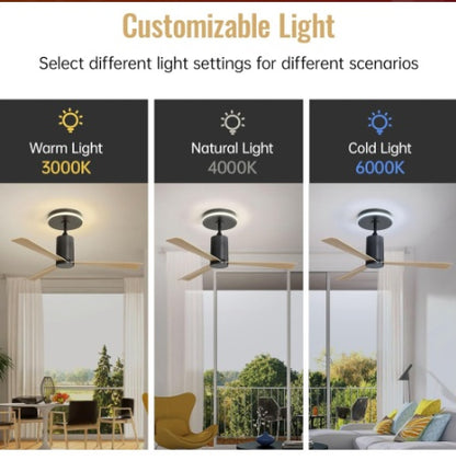 US Local Plastic Ceiling Fans