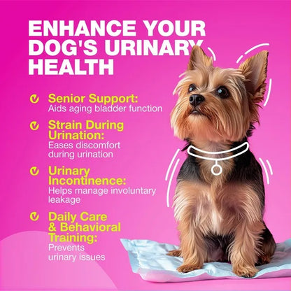 US Local Dog UTI Treatment Dog Cranberry Supplement For Bladder Kidney Health
