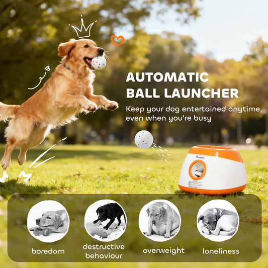 US Local Automatic Dog Ball Launcher with 26-79 FT Distance, Automatic Ball Launcher for Medium and Large Dogs, Orange