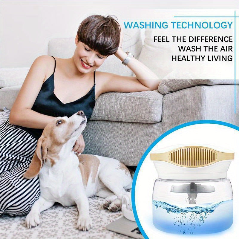 US Local Air Purifier 1