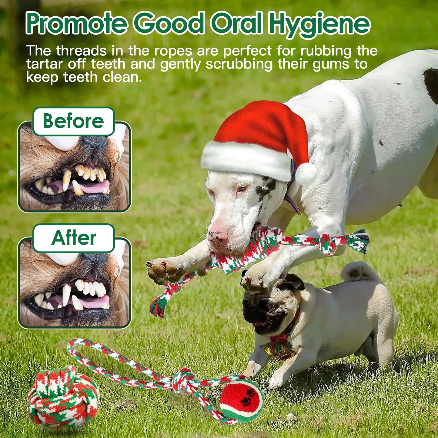 US Local Set Of 5Pcs Christmas Dog Rope Chew Toys Dog Interactive Toys Set For Puppy Small Medium Aggressive Chewers Dogs Training Teething Playing