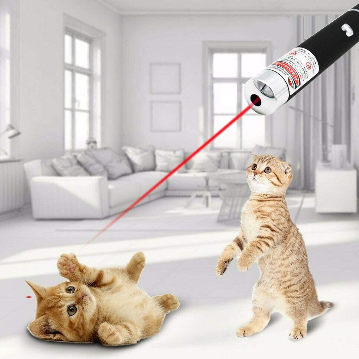 US Local 650nm Red Laser Pointer Pen Light Visible Single Beam AAA Lazer Torch 5PCS 9900 Miles Mini Small Teaching Pen Light Pet Toys