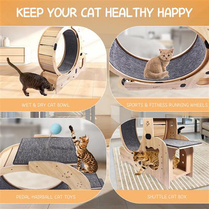 US Local Cat Wheel 6-in-1 Cat Sports Wheel, Upgraded Indoor Cat Wheel Sports Device