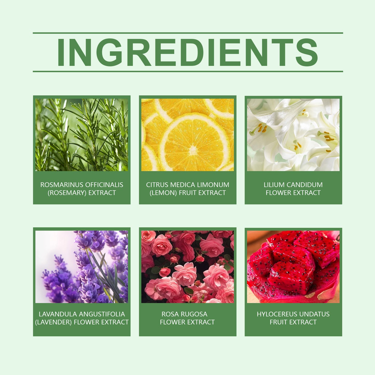 US Local OceAura Fragrant Shower Ball, Plant-Scented Shower Ball Cleans And Moisturizes The Body With A Colorful And Fragrant Shower Ball