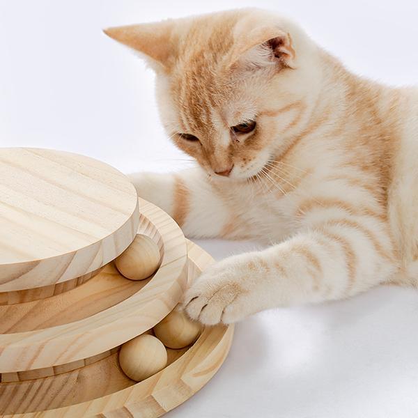 US Local Indoor Cat Soft Scratching Board And Interactive Ball Track Toy Cat Rest And Grooming Supplies