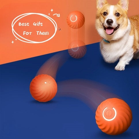 US Local Pet Dog Rubber Ball Toys For Dogs Resistance To Bite Dog Chew Toys Puppy Pets Dogs Training Products