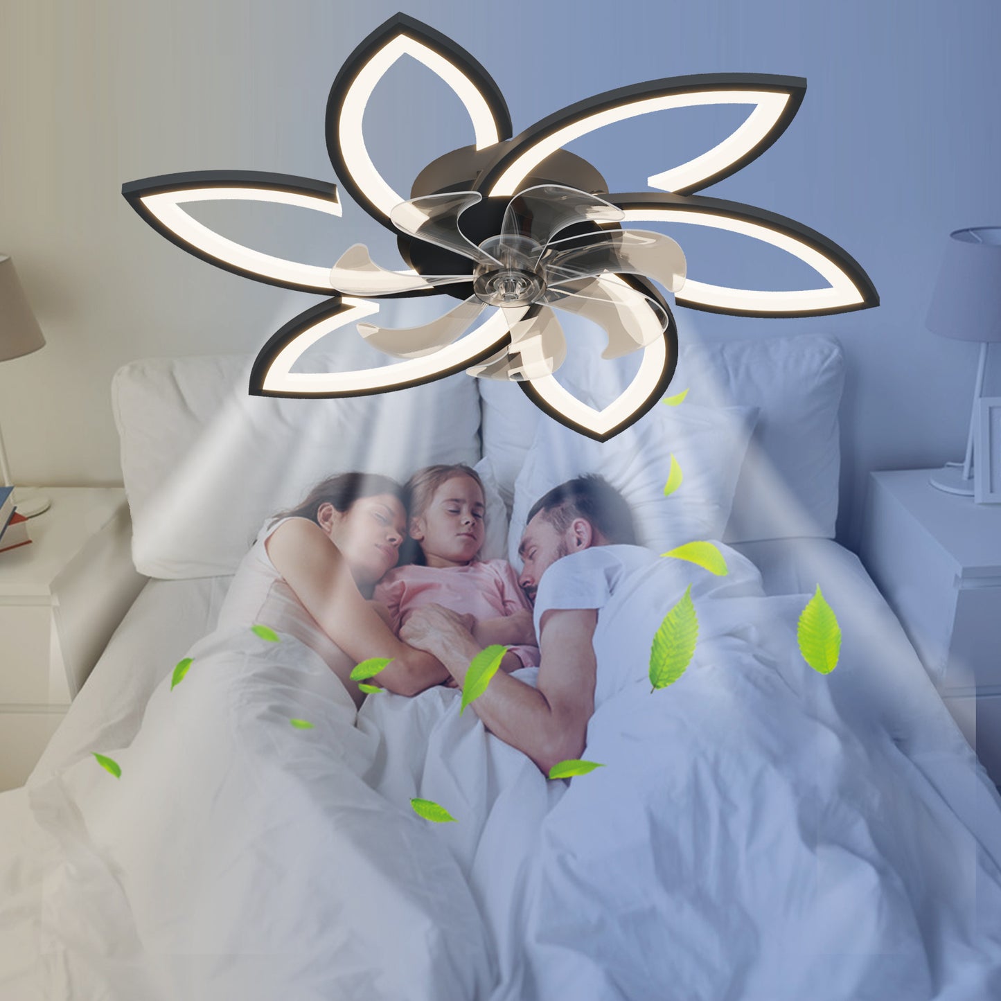 US Local Acrylic Ceiling Fan