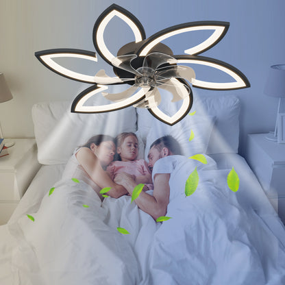 US Local Acrylic Ceiling Fan