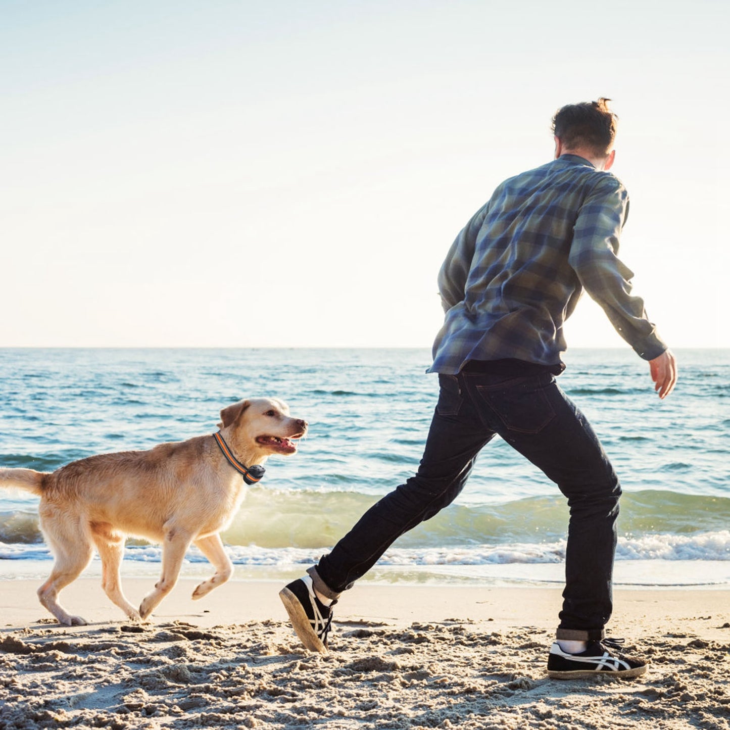 US Local 2 In 1 Dog GPS Fence Tracker Wireless GPS Dog Fence GPS Dog Collar With 32-2887FT Radius IPX6 Waterproof For Small Medium Large Dogs