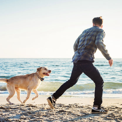 US Local 2 In 1 Dog GPS Fence Tracker Wireless GPS Dog Fence GPS Dog Collar With 32-2887FT Radius IPX6 Waterproof For Small Medium Large Dogs