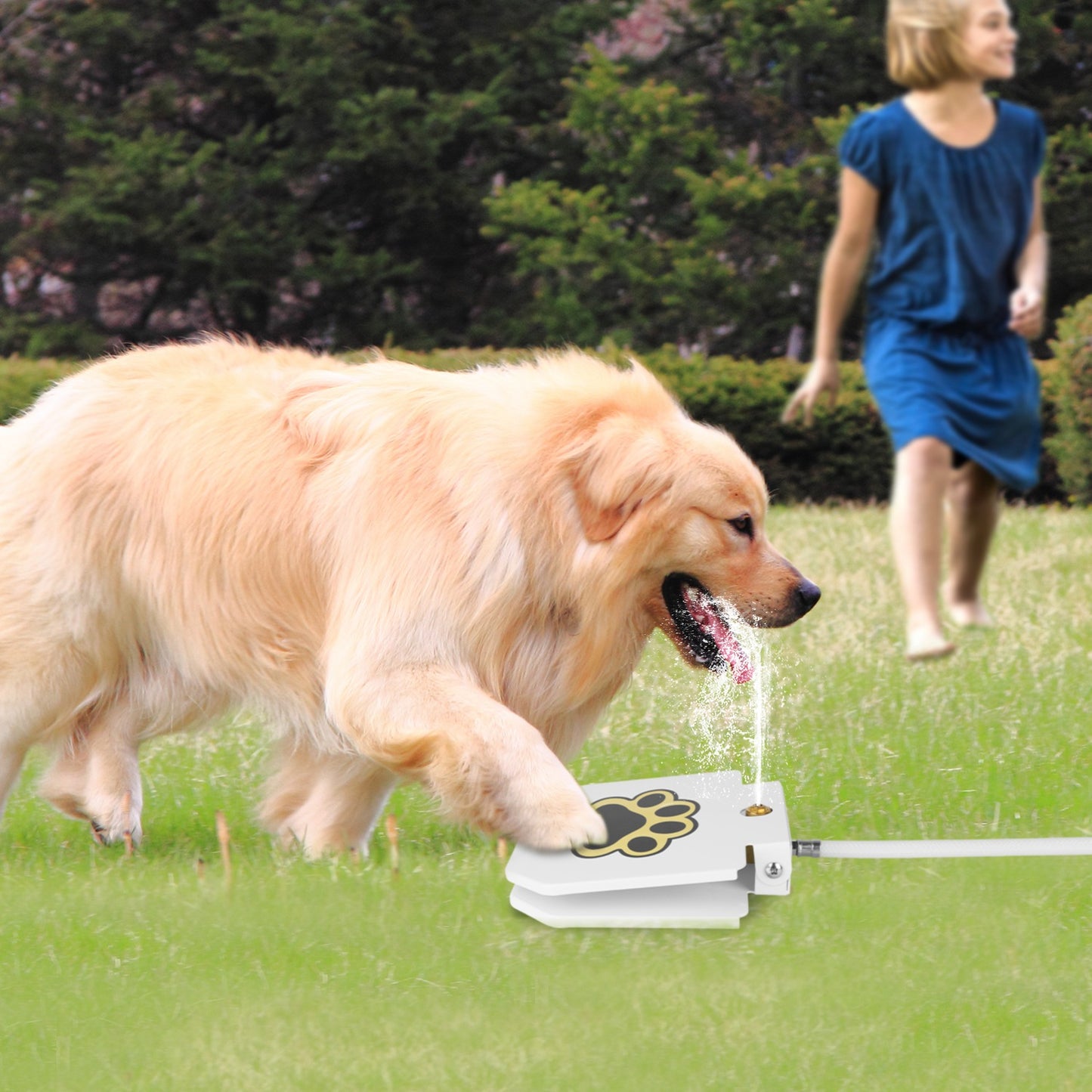 US Local 1Pc Dog Water Fountain Outdoor Dog Pet Water Dispenser Step-on Activated Sprinkler With Interactive Paw Pedal Valve For Drinking Water