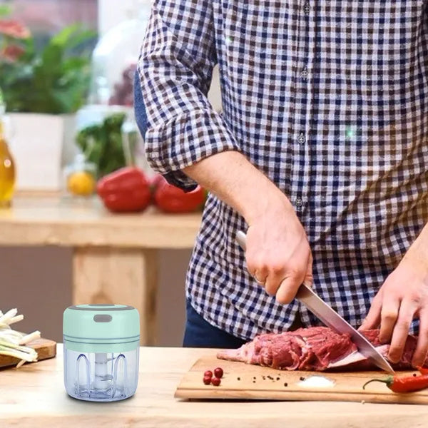 US Local Mini Electric Garlic Chopper Ginger Chopper With 8.45OZ Capacity Cordless Garlic Mincer Food Chopper