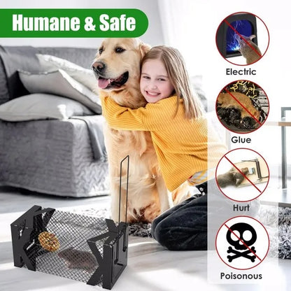 US Local Humane Mouse Trap Cage, Non-Lethal No ElectricityGlueChemicals, Heavy Duty 1.15mm Metal