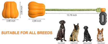 PROKEl Dog Rope Fetch Exercise ToyforMedium  Large Aggressive Chewers BreedDogsChew Interactive Toys Training Tug Of WarBallsindoor And Outdoor Halloween Dogtoyorange Plain Indestructible Dogtoy Super